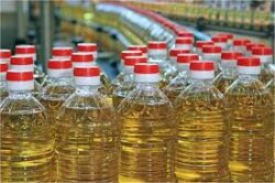 Oilseed prices 250x166.jpg