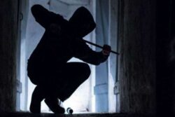 Theft Both the brothers along with their relatives committed theft 2 250x167.jpg