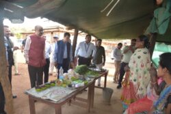 1743090745 521a8f257c4a0d97bafb 250x167.jpg