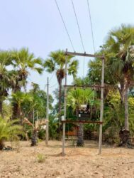 IMG 20250316 WA0022 189x250.jpg