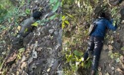 Images 16 250x152.jpg