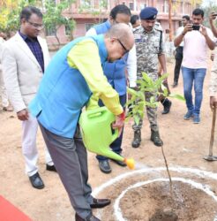 1743780939 dca32e9ff761a99bcbe2 246x250.jpg