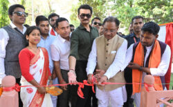 1744039515 cde61582284fff921524 250x155.jpg