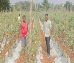 1744545004 4d44aece2d7f85e42ba1 250x213.jpg