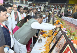 1744644465 5b2e882fca7e2b2bc61e 250x173.jpg