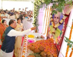 1746541467 0759ab7b0f025e75eb3b 250x195.jpg