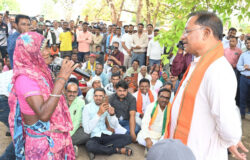 1746706908 51e84b99a5d1e6f34d7c 250x160.jpg