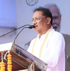 1747655835 b8c8f86e15e8d098d656 245x250.jpeg