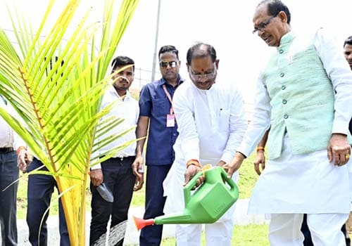 WhatsApp Image 2025 05 13 at 17.21.15 12cad475