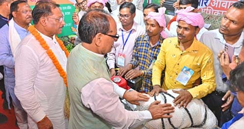 WhatsApp Image 2025 05 13 at 20.59.43 8500886e