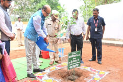 1748704579 704cfb5f388208526e27 250x167.jpg