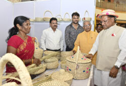 1748956473 b8d7529ca9c73adb8849 250x171.jpeg