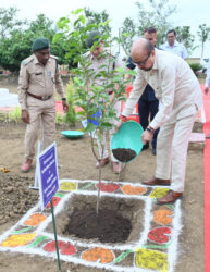 1750341007 70bd612557b3de245538 193x250.jpeg