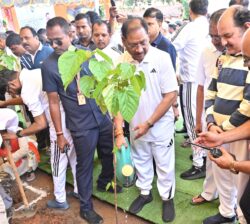 IMG 20250621 WA0072 250x224.jpg