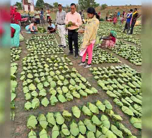 WhatsApp Image 2025 06 18 at 18.05.45 ffba11c5