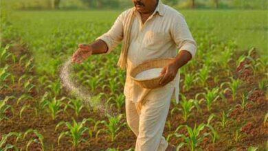 578a06eb e0e4 4cfc b5f6 e3dc249abd23 copy