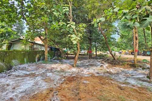 Tn5 balaghat290925035639