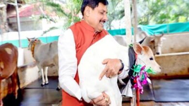 Tn5 bhopal140925110710