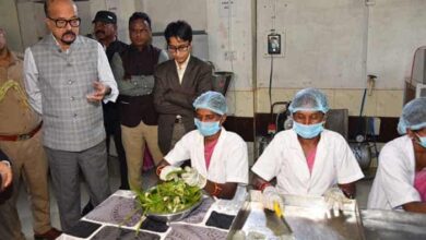 1761308707 9fd4e24539584509bca5 1024x683