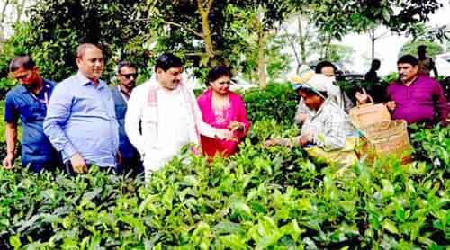 Tn5 bhopal051025032517