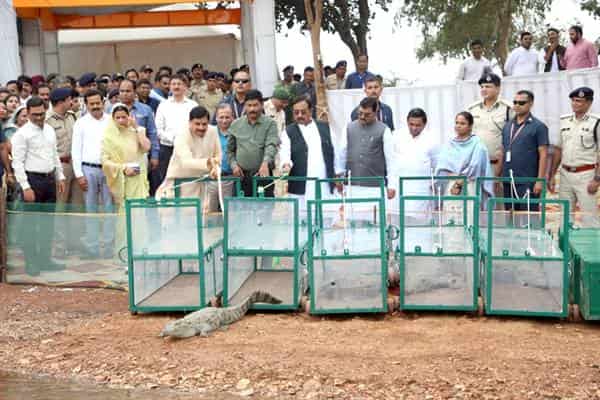 Tn5 bhopal301025092730