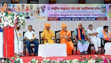 Whatsapp image 2025 10 05 at 17.48.53 07e47d50