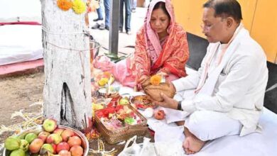 Whatsapp image 2025 10 31 at 13.00.07 37cf0b69