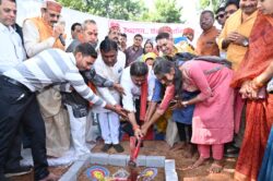 1763382268 c6485d69407d335c258b 250x166.jpeg