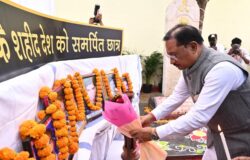 1763387385 2e925c90023413ef0a7e 250x160.jpg