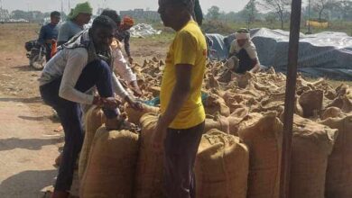 WhatsApp Image 2025 11 15 at 20.11.03 0ca16517