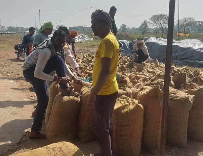 WhatsApp Image 2025 11 15 at 20.11.03 0ca16517