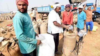 WhatsApp Image 2025 11 18 at 22.23.02 d9fc6ec0