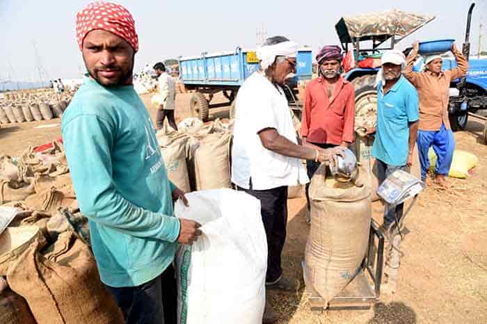 WhatsApp Image 2025 11 18 at 22.23.02 d9fc6ec0