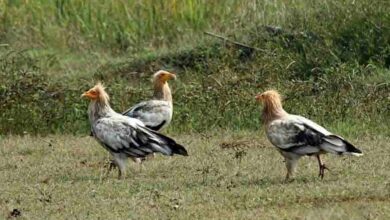 WhatsApp Image 2025 11 21 at 13.24.01 fae92851