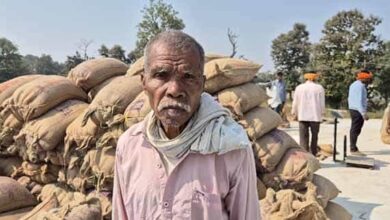 WhatsApp Image 2025 11 21 at 20.04.53 e15deeff