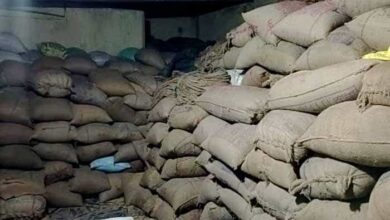 WhatsApp Image 2025 11 22 at 19.37.18 67fd3f61