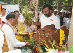 1765636446 73222f77f6e17ecdc19f 250x181.jpg