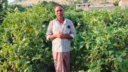 IMG 20251211 WA0074 250x141.jpg