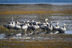 IMG 20251212 WA0030 250x167.jpg