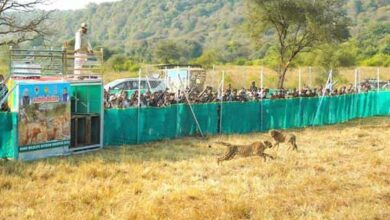 TN5 Bhopal041225073943