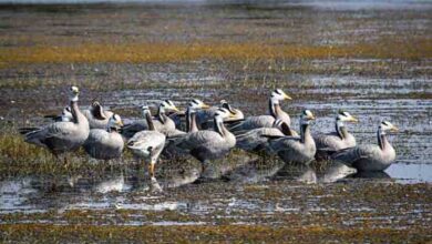 WhatsApp Image 2025 12 12 at 18.30.07 858eaa53