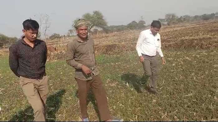 WhatsApp Image 2025 12 16 at 18.55.24 61f65f0b