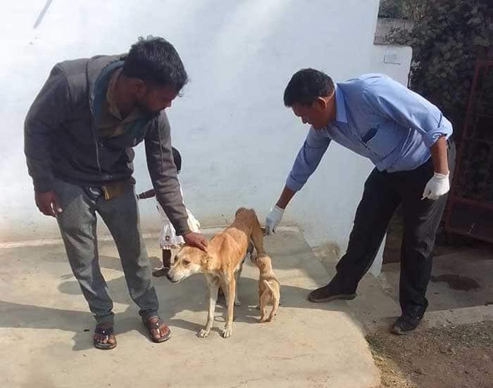 WhatsApp Image 2025 12 23 at 19.38.21