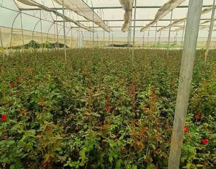 WhatsApp Image 2025 12 24 at 21.07.04