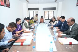 1767789475 cabc244dd847e42f5758 250x166.jpg