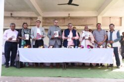 1768142774 8011114b97a172365903 250x167.jpg