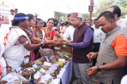 1768486761 a79655f395a9bc7dfbc2 250x167.jpg