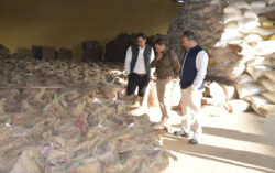 1768496053 ec3d892b2aed20616830 250x157.jpeg