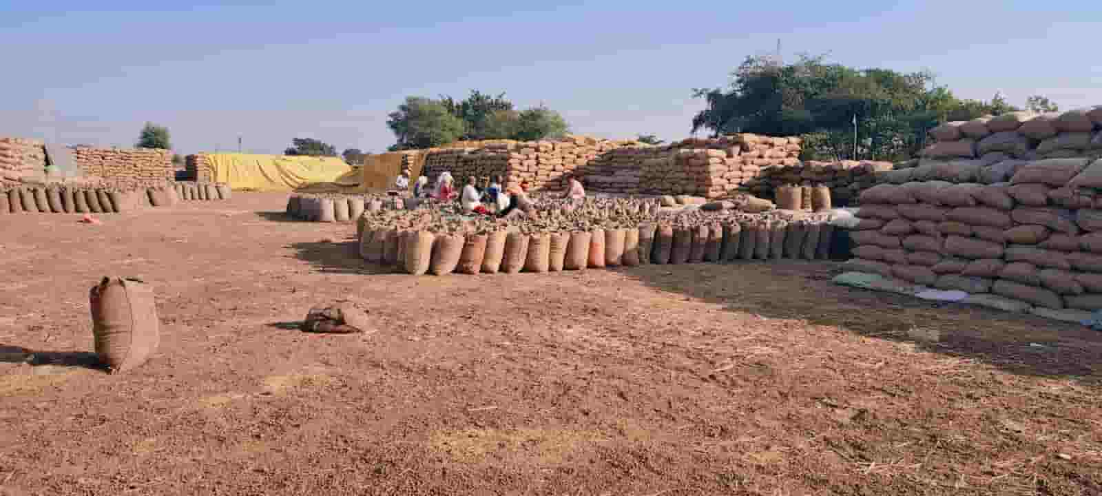 WhatsApp Image 2026 01 03 at 13.23.39