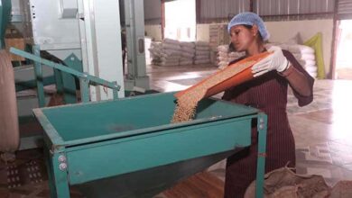 WhatsApp Image 2026 01 07 at 18.25.